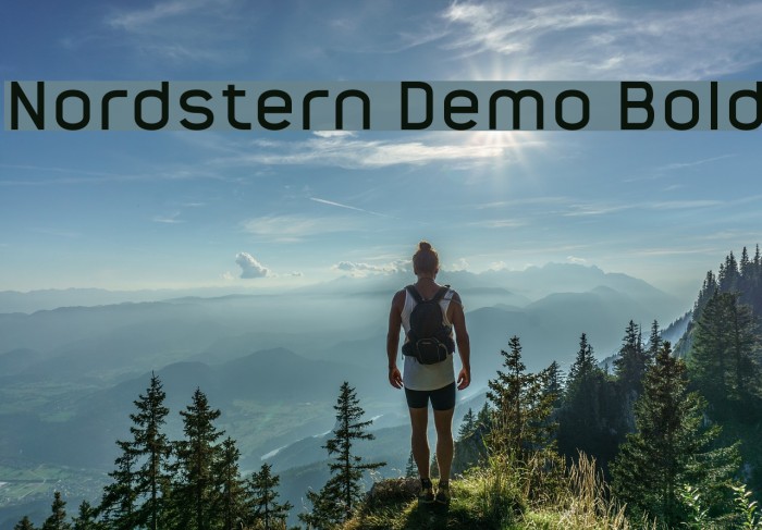 Nordstern Demo Bold Example 3