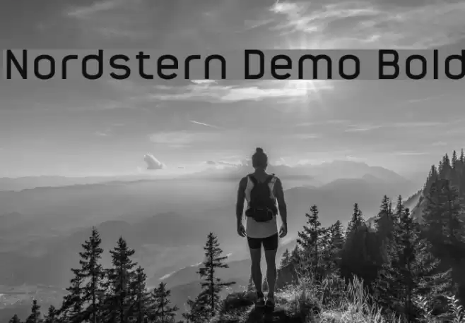 Nordstern Demo Bold Font examples