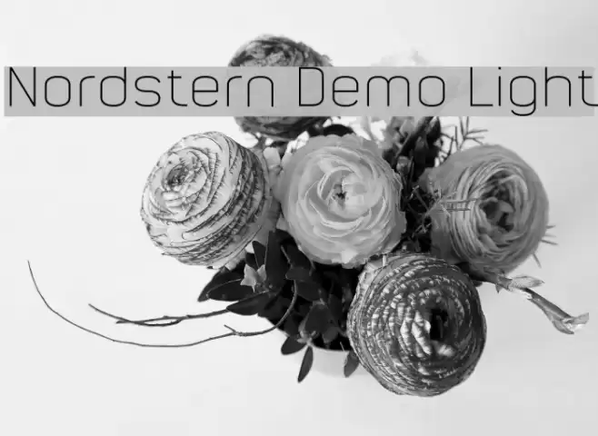 Nordstern Demo Light Font examples