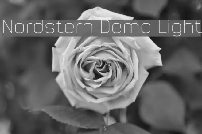 Nordstern Demo Light Font examples