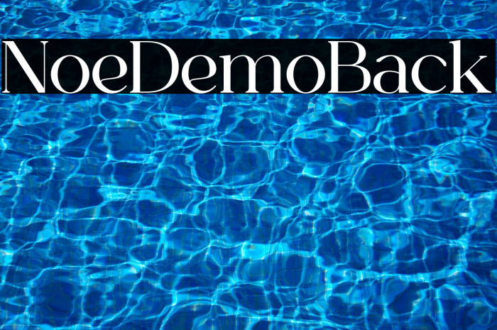 Norelli Demo Black Example 1