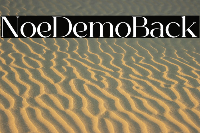 Norelli Demo Black Example 2