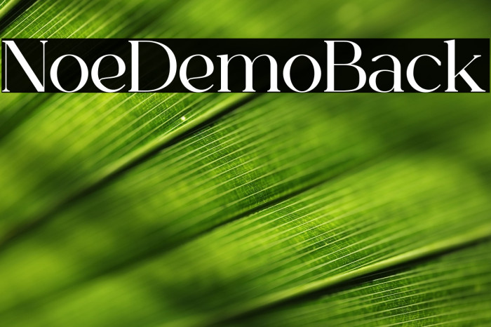 Norelli Demo Black Example 3