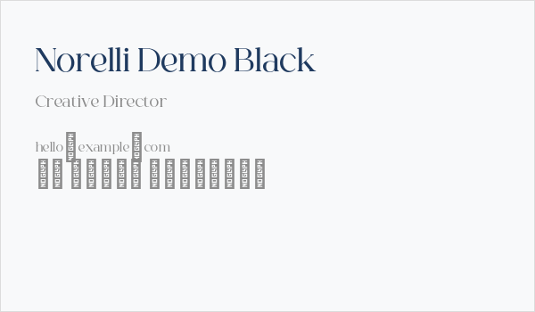 Norelli Demo Black Business Card