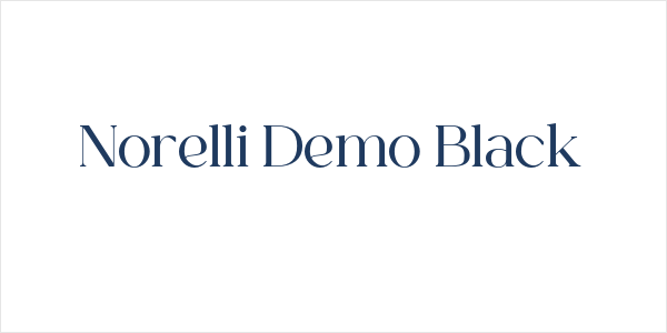Norelli Demo Black Logo