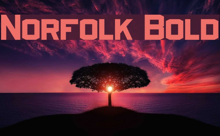 Norfolk Bold Example 1