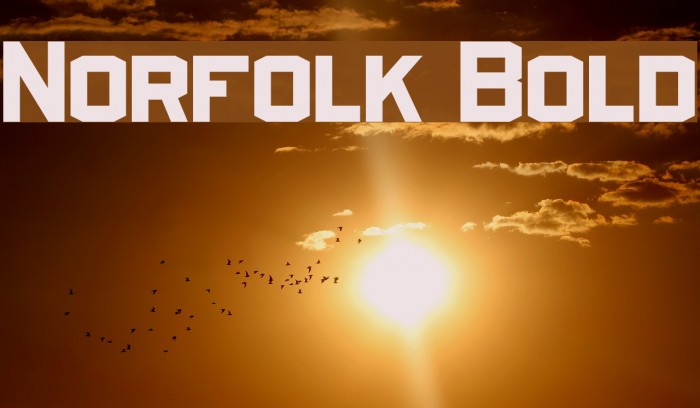 Norfolk Bold Example 3