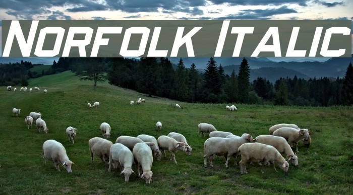 Norfolk Italic Font examples