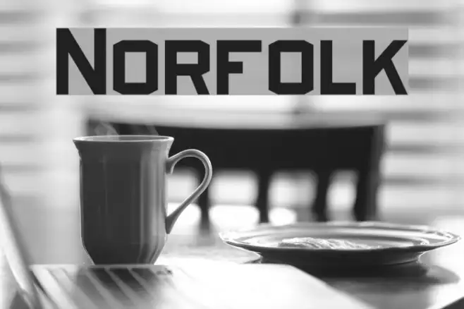 Norfolk Example 2
