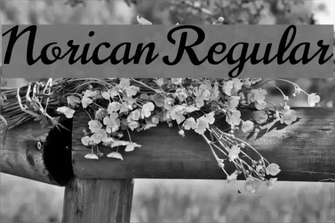 Norican Regular Font examples