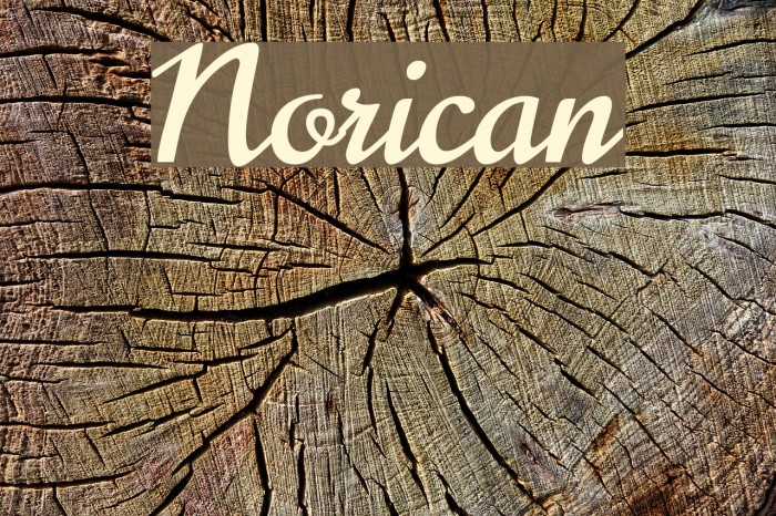 Norican Font examples