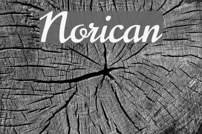 Norican Font examples