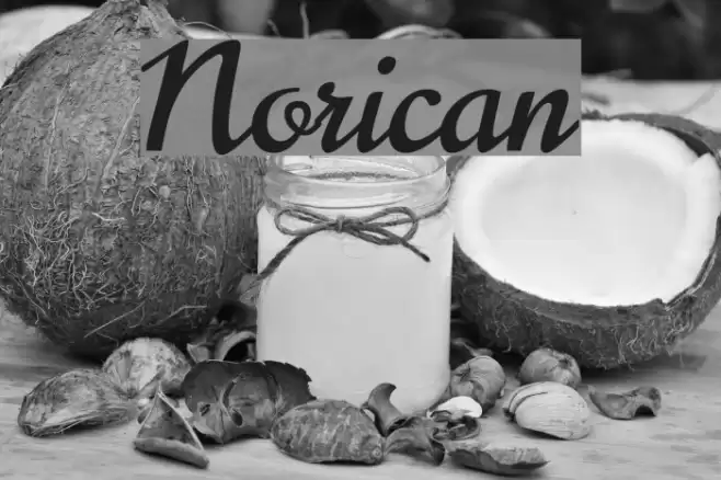 Norican Font examples