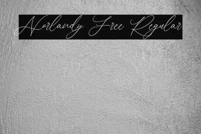 Norlandy Free Regular Шрифта examples