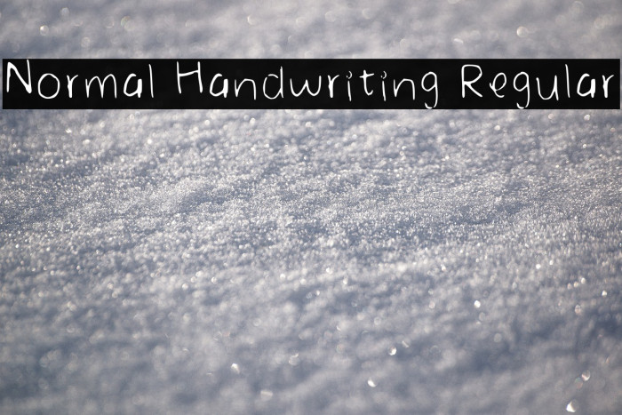 Normal Handwriting Regular Example 3