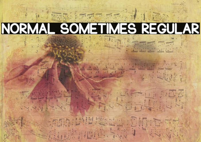 Normal Sometimes Regular Font examples