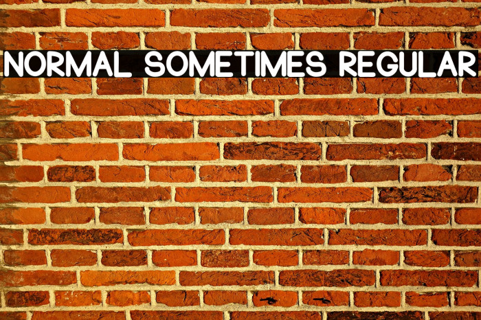 Normal Sometimes Regular Font examples
