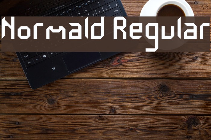 Normald Regular Font examples