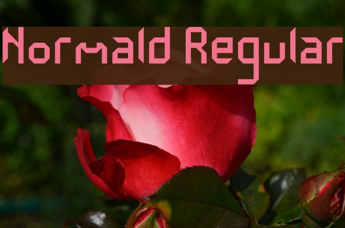 Normald Regular Font examples