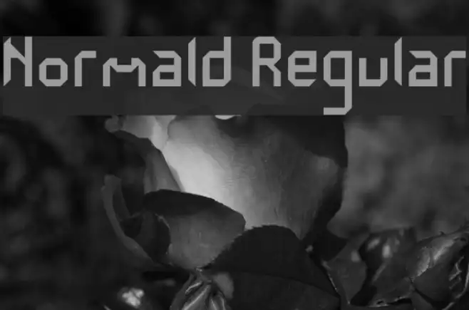 Normald Regular Example 3
