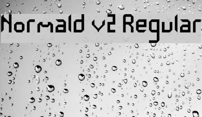 Normald v2 Regular Example 2