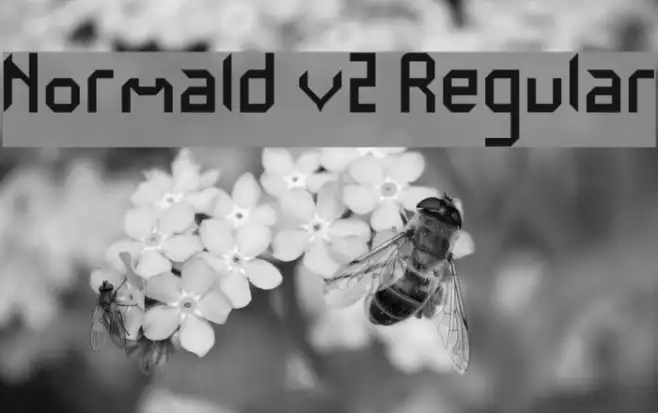 Normald v2 Regular Example 3
