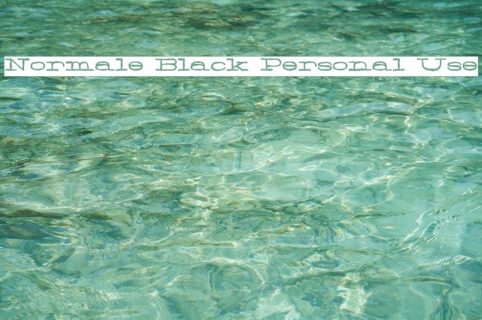 Normale Black Personal Use Font examples