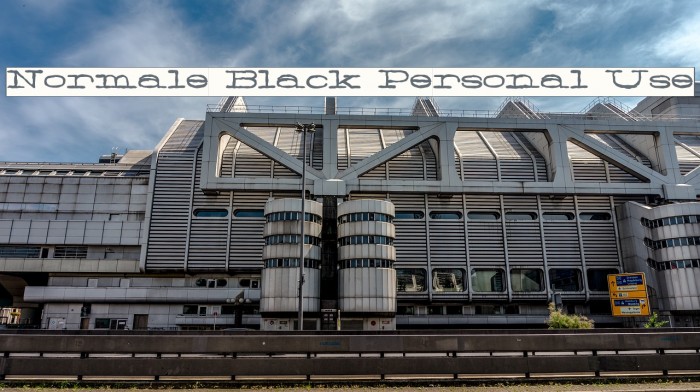 Normale Black Personal Use Font examples