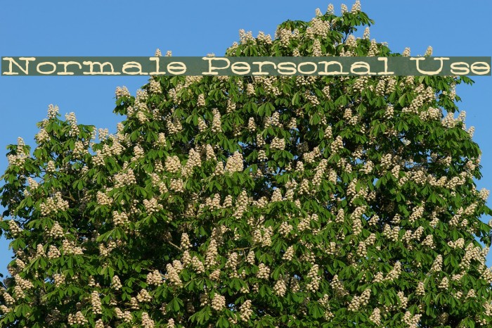 Normale Personal Use Font examples