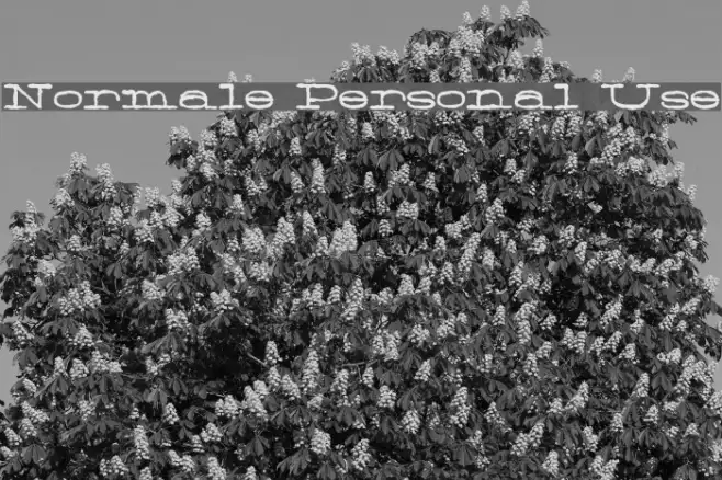Normale Personal Use Example 1