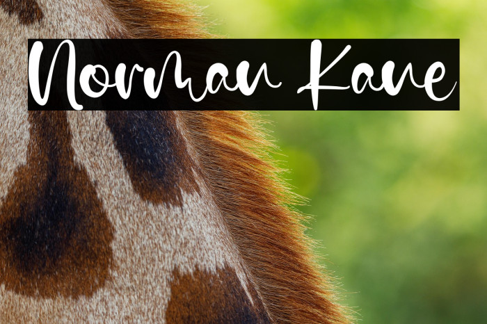 Norman Kane Example 1