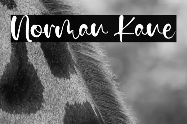 Norman Kane Font examples