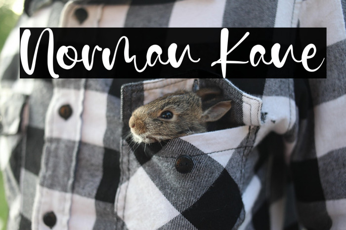 Norman Kane Example 3