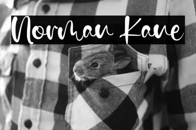 Norman Kane Font examples