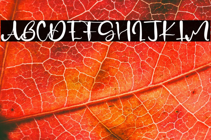 NormanKane Example 2