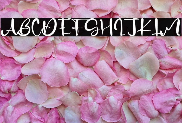 NormanKane Example 3