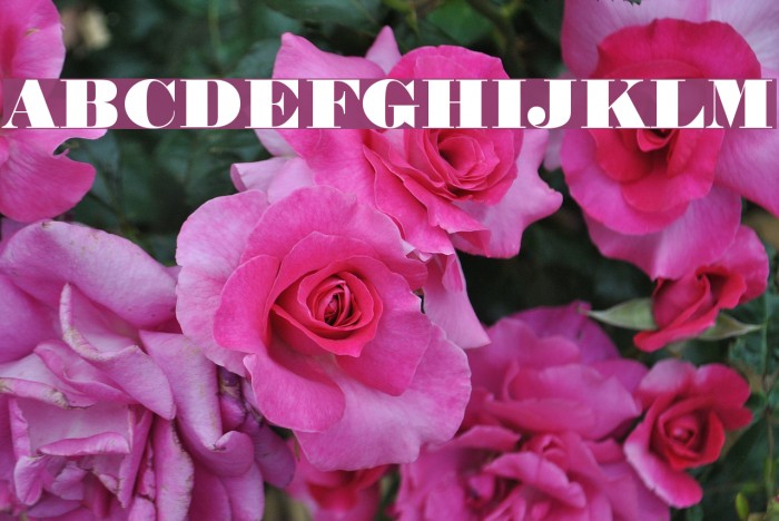 Normande BT Example 1