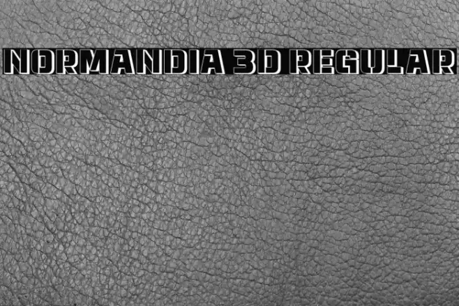 Normandia 3D Regular Font examples