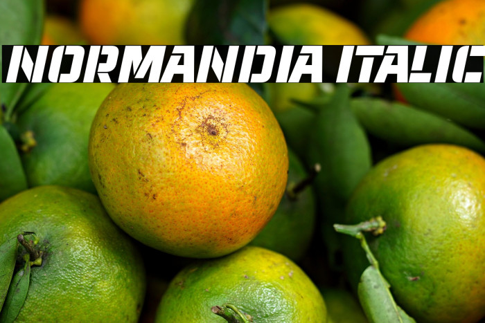 Normandia Italic Example 2