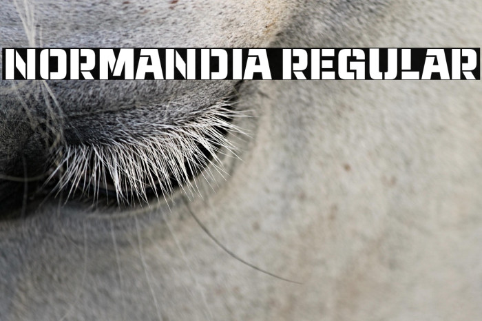 Normandia Regular Example 1