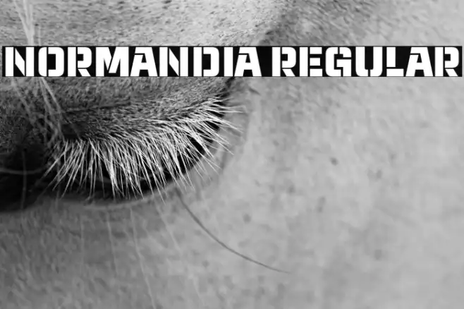 Normandia Regular Example 1