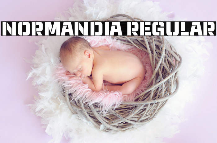 Normandia Regular Example 3