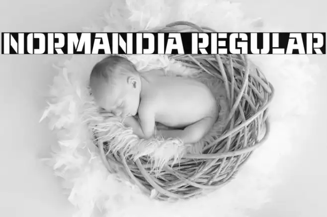 Normandia Regular Example 3