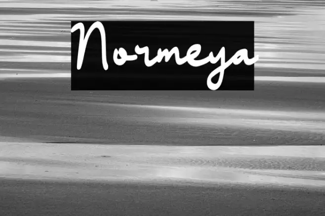 Normeya Example 1