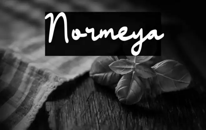 Normeya Example 2