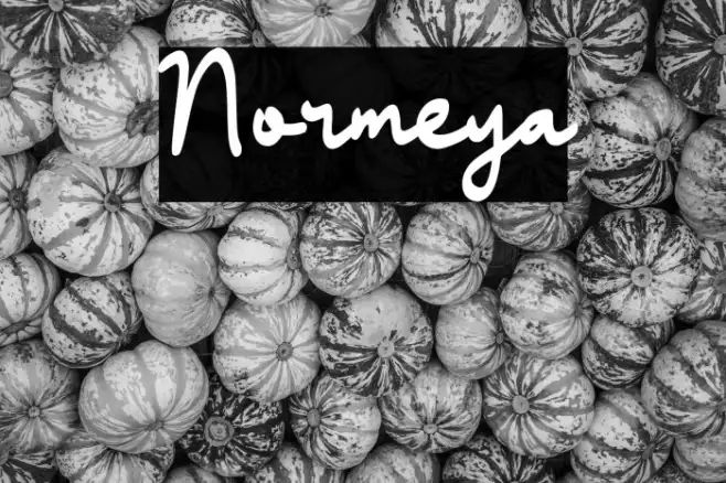 Normeya Example 3