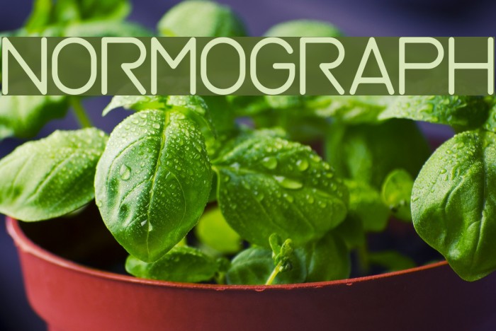Normograph Font examples
