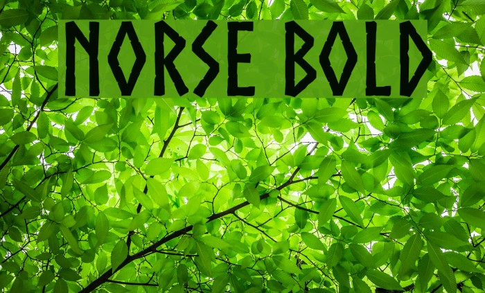 Norse Bold Font examples