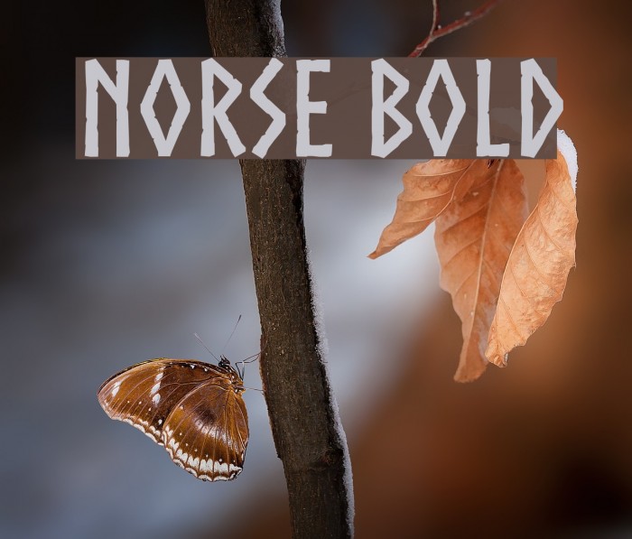 Norse Bold Font examples