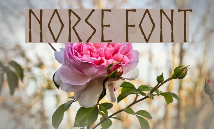 Norse Font examples